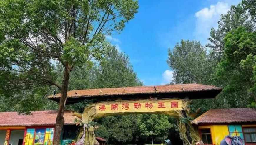 陈丽君扮大圣太帅了,香港白小香港白小相资料2o24,公开决策资料解释落实_终极版V5.63