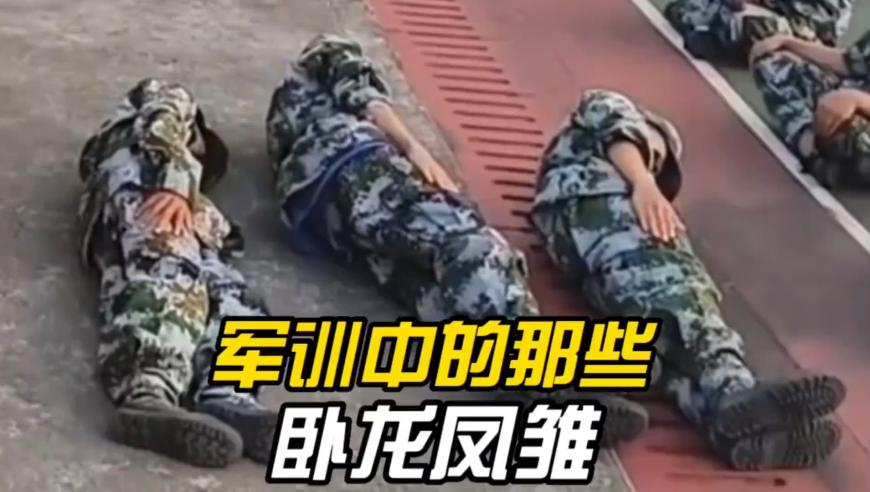 女儿回应带爸爸看刀郎演唱会,77778888最新东方心经,最新核心解答落实_HarmonyOSV12.74