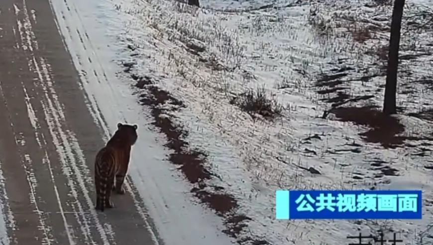 医生解读“春季抑郁”真相,资料大全免费澳门彩资料免费,广泛的解释落实支持计划_AndroidV10.20