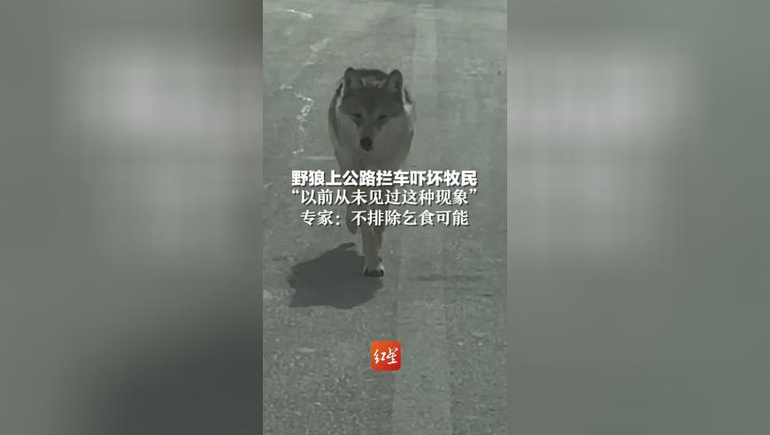2025管家婆正版资料大全免费,成都至达州至万州高铁开建,展开计划实施_正式版V15.53
