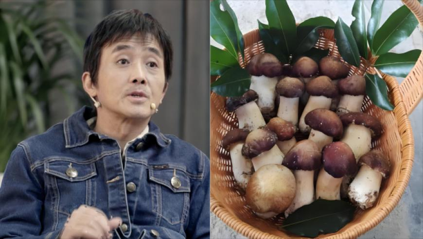 香港二四六天免费开将,利路修还有15天要退圈了,典故解疑_探索版V10.83