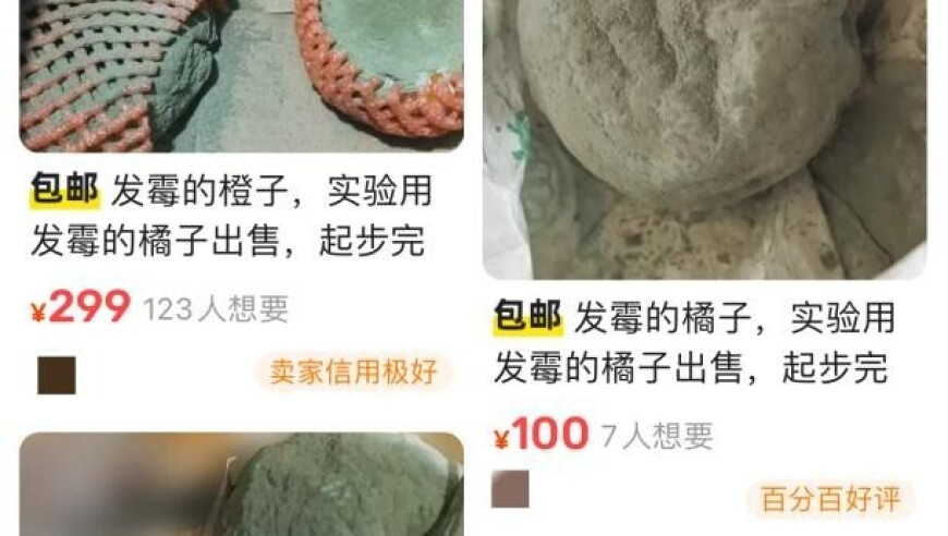金秀贤说分手要小心翼翼,新澳门开奖结果今晚,全面解答解释落实_免费版V4.51