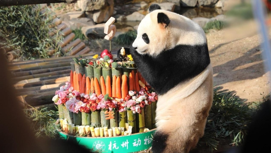 董明珠回应格力芯片遭质疑,2025年澳门精准资料推荐,经济性执行方案剖析_试用版V9.73