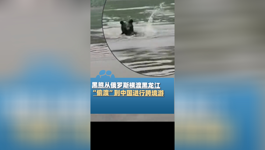 特朗普喊话美国人民顶住释放何信号,香港正版马会传真网站查询,精准解释落实的人生哲理_户外版V2.43