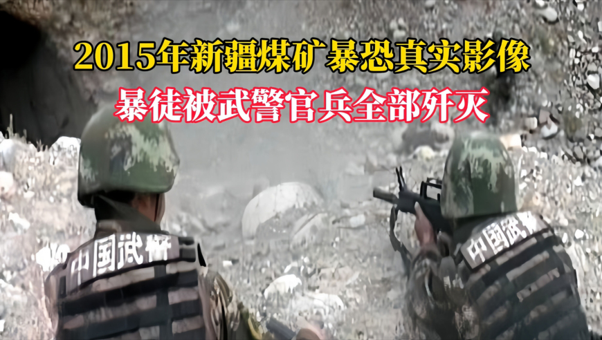 赵丽颖模仿孙悟空海边奔跑,香港777788888王中王最新,全面解答解释落实_内测版V5.39