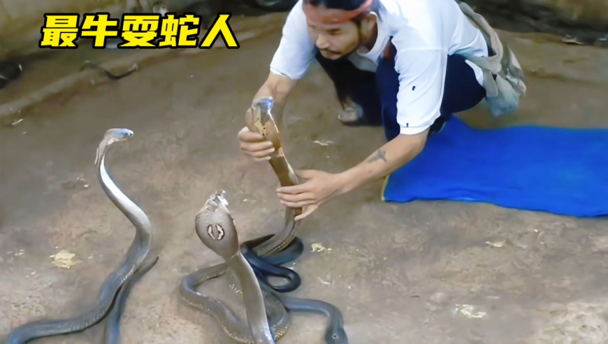 澳门朱雀网站六肖18码,九个月赚1亿公司多个分公司已注销,重点解答解释落实_黄金版V1.49