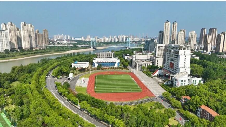 王曼昱4比0胜孙颖莎 首夺亚洲杯冠军,2025新奥管家婆资料正版大全,精准解释落实的人生哲理_开发版V12.29